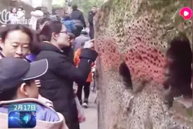 孔洞是用手戳出来的？乐山景区岩壁孔洞引关注，官方回应来啦！视频封面