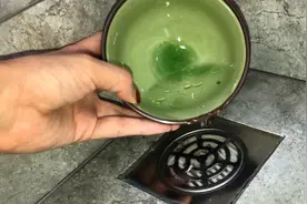 家里到处都是小飞虫，比苍蝇还烦人，教你一个灭虫妙招，都学学吧
