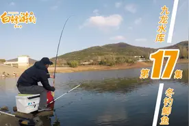 白鲦游钓九龙水库，寒冬变换钓法，连杆野生鲫鱼视频封面