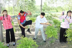 甜甜和小伙伴们一起玩藏零食，妈妈藏得太隐秘谁也找不到，太逗了视频封面