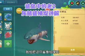 周姐解说：创造与魔法，鲨鱼中的老2灰鲭鲨捕捉讲解！视频封面