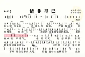 动态谱-情非得已视频封面