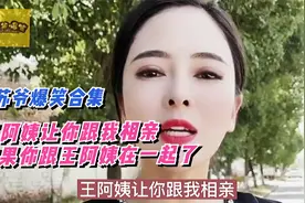 苏爷爆笑合集：王阿姨介绍我俩相亲，结果你跟王阿姨在一起了视频封面