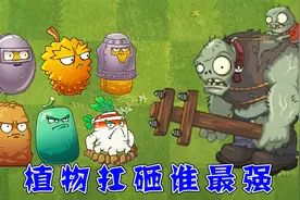 植物大战僵尸：不同种类的肉盾植物，能被巨人僵尸砸几下？视频封面
