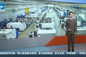 工信部公布第三批专精特新“小巨人”企业名单 浙江“小巨...视频封面