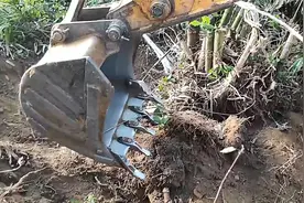 挖掘机在竹林里修路，到处都是竹根，挖机也很难施工视频封面