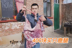 阿远400块买了条鹿腿，鹿肉红烧，鹿骨煲汤，鹿肉两吃让人开眼了视频封面