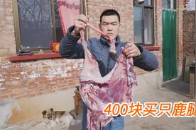 阿远400块买了条鹿腿，鹿肉红烧，鹿骨煲汤，鹿肉两吃让人开眼了视频封面