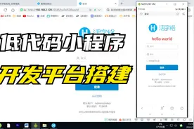 全中文低代码开发NAS小程序，活字格开发平台的搭建视频封面