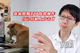 如何委婉的说朋友打游戏技术很菜？角色：我不是人，但你是真的狗