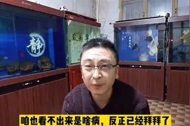 只要鱼缸出现死鱼问题，就要立刻消毒换水吗？不一定视频封面