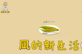 如果生活一团糟，不如去一个陌生的城市重新来过《凪的新生活》05视频封面
