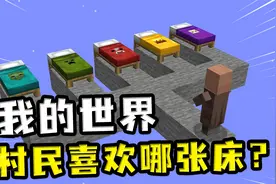 我的世界：村民喜欢哪张床？不按常理出牌，村民表示它全都要