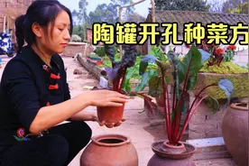 坛坛罐罐种花种菜挺有味道。怎么打孔是个问题，今天给大家分享。视频封面