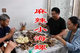 260买13斤小海螺，做麻辣小海螺，麻辣鲜香，陪父亲喝点酒爽翻了视频封面