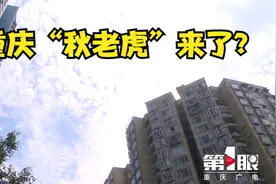 晴雨交替 重庆未来10天气温变化大视频封面