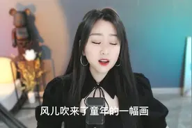 菲儿一首《小小新娘花》歌声婉转动听 曲调优美 百听不厌视频封面