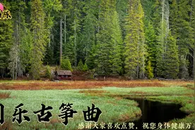 经典古筝名曲，茶舍酒店咖啡厅必备背景音乐🎶放松心神，助眠养神视频封面