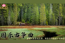 经典古筝名曲，茶舍酒店咖啡厅必备背景音乐🎶放松心神，助眠养神视频封面