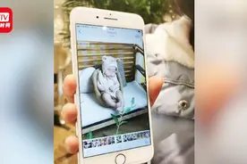 痛心！4个月女童推拿后多器官衰竭身亡  卫健局介入视频封面