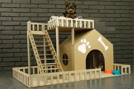 铲屎官用纸板为小狗DIY狗别墅，不花一分钱还这么漂亮，真是绝了视频封面