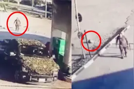 监拍：乌克兰士兵无故枪杀流浪狗！俄媒：在俄罗斯至少判3年！视频封面