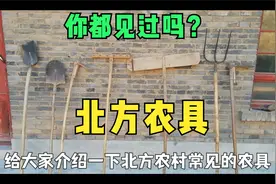 【北方传统农具】你都认识吗？视频封面