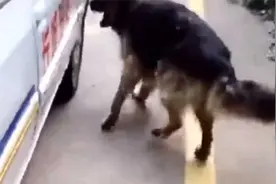 爆笑：保持沉默，假装沉睡，但我已经醒来