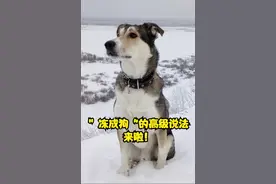 古人是如何花式表达“好冷”的，别再只说“冻成狗”啦！