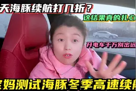 宝妈测试比亚迪海豚冬季高速续航打几折，这结果真的让人里程焦虑视频封面