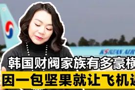 韩国财阀家族有多豪横？一瓶水泼掉2000亿，因一袋坚果逼飞机返航视频封面