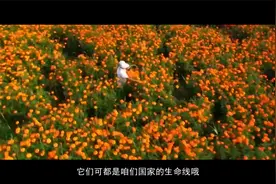 4·15国家安全教育日视频封面