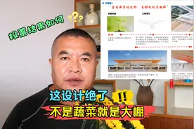 京沪高铁二线，潍坊寿光站八种方案投票，造型除了蔬菜就是大棚视频封面