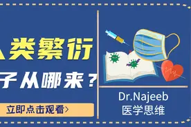 人类繁衍过程揭秘！为了制造卵子身体做出了怎样的努力？视频封面
