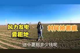 河南农村修建风力发电，占耕地一年给3000元补贴，村民都非常乐意