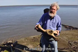 已经灭绝的远古猛犸象竟然能重现江湖？