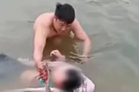 平凡人之光！河南大叔小伙默契营救落水女孩：必须得救！视频封面