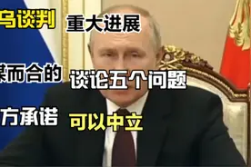 俄乌谈判重大进展，不谋而合的谈论五个问题，乌承诺可以中立视频封面