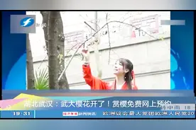 武汉大学樱花开了！免费网上实名预约，限流进入校园赏樱视频封面