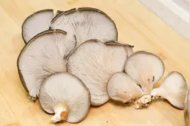 在家炒蘑菇怎么做才好吃，教你一招，香味浓郁不出汤，下酒又下饭