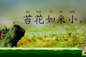 苔 苔花如米小 也学牡丹开 宝贝牛经典诵读 清代诗人袁枚视频封面