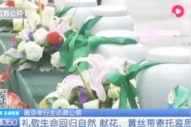 长眠桂花树下重回自然，南京市雨花功德园举行生态葬公祭活动视频封面