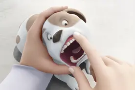 宠物狗生病了，小咖带它来宠物医院看病，狗狗害怕扎针？视频封面