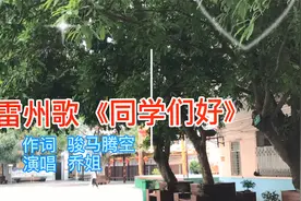 雷州歌《同学们好》赞友情：记着往年在一起 今日会逢又同桌视频封面