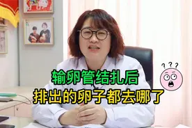 输卵管结扎后，排出的卵子都去哪了