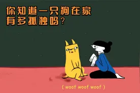 你知道一只狗在家有多无聊吗？无聊的狗狗把影子看成主人！动漫