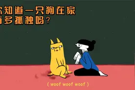 你知道一只狗在家有多无聊吗？无聊的狗狗把影子看成主人！动漫