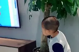 萌宝被妈妈禁止看电视，现在只能偷偷瞄两眼，网友：小可怜！视频封面
