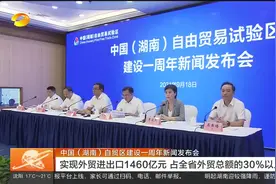 [湖南卫视]中国（湖南）自贸区建设一周年新闻发布会视频封面