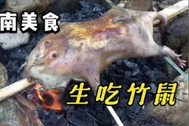 越南人把生吃竹鼠当成家庭便饭 引得观众一阵恶心